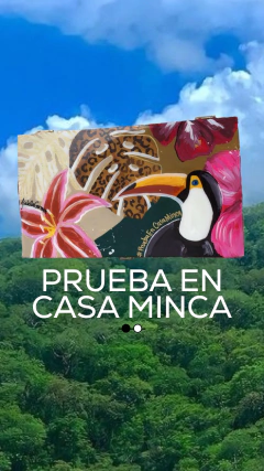 PRUEBA EN CASA MINCA