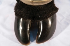 Antiguo Cenicero De Pata De Animal Antigüedad - La Rueda