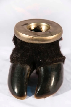 Antiguo Cenicero De Pata De Animal Antigüedad