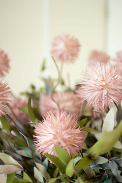 FLORBOTANICA 2375 - comprar online