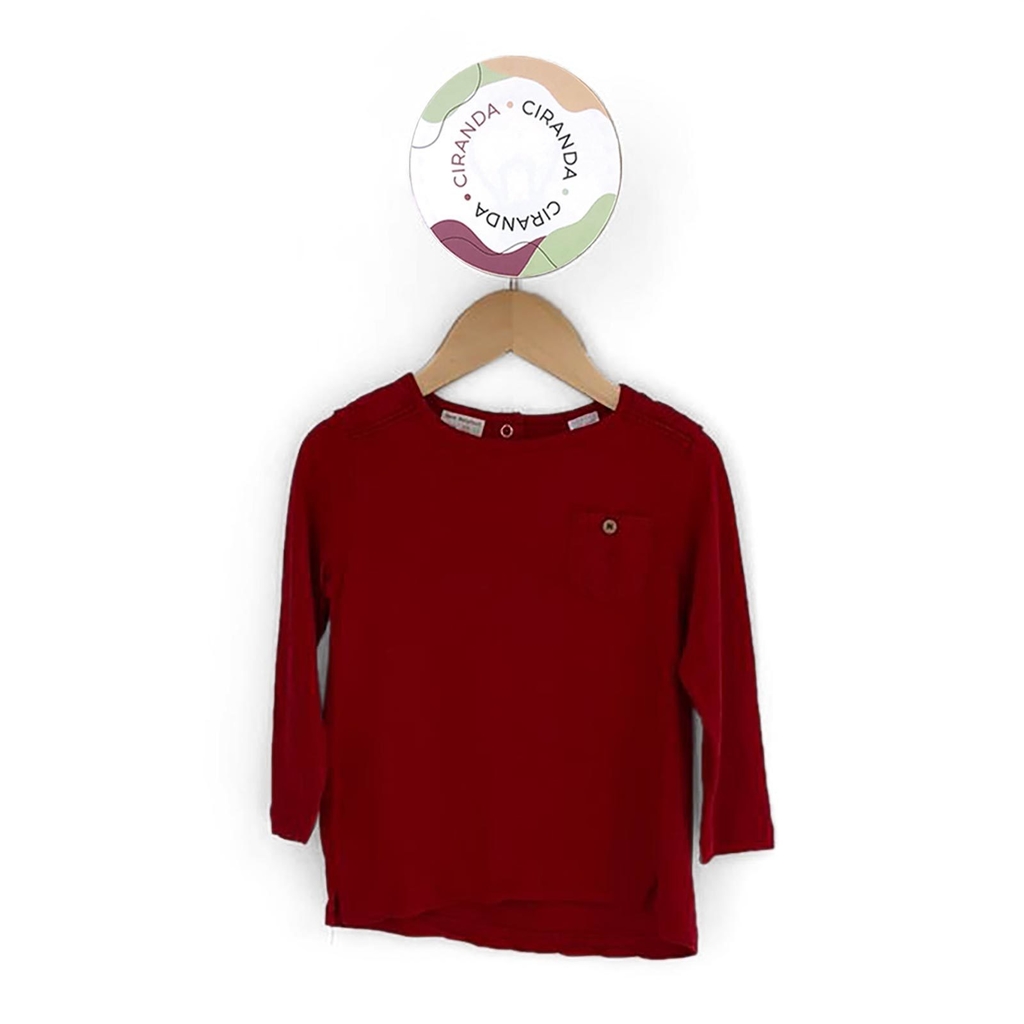 camiseta manga longa tam 2