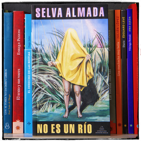 PEQUEÑA HAVILIO IOSI - Comprar en Eriza PEQUEÑA HAVILIO IOSI - Comprar en Eriza