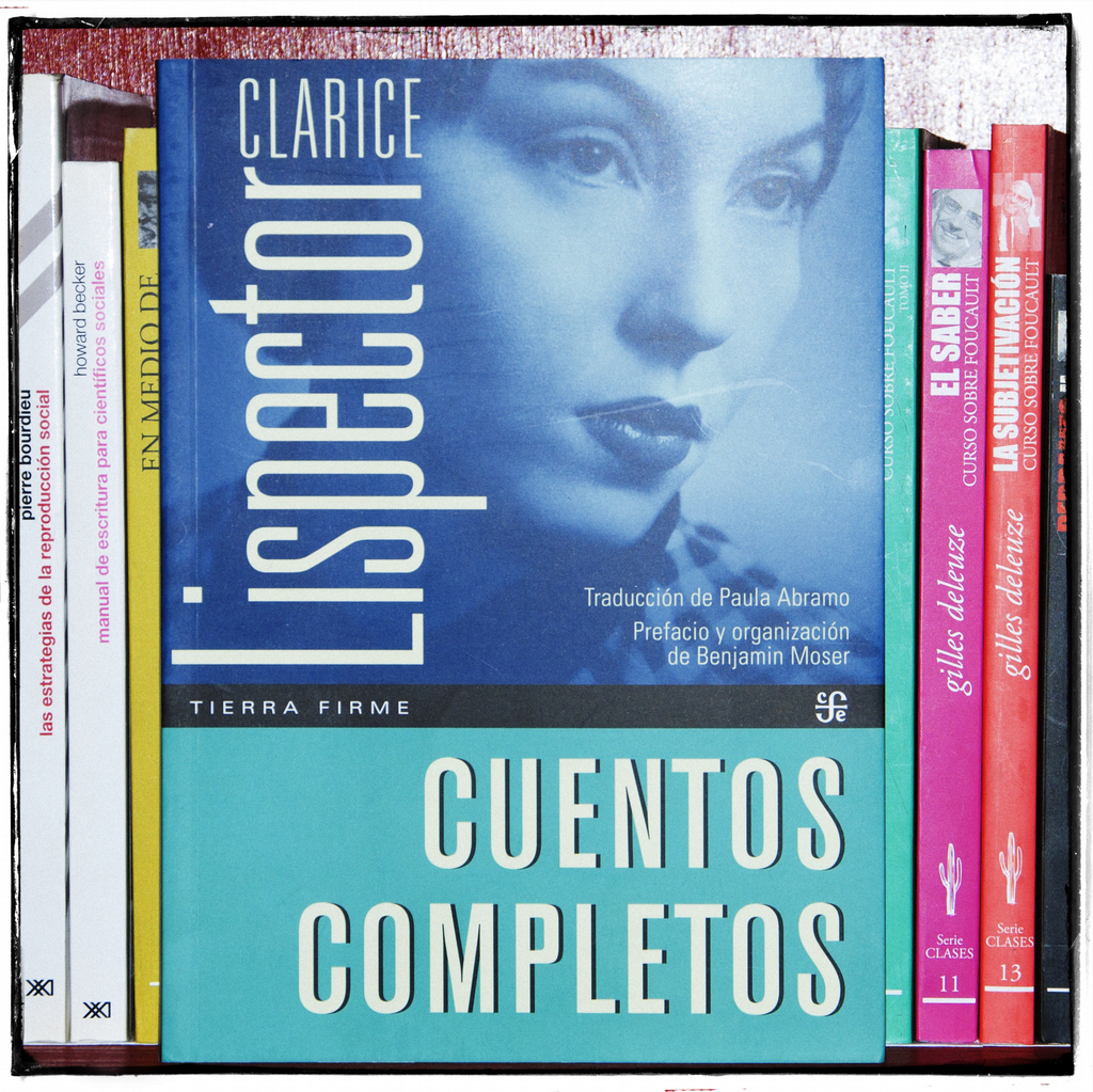 CUENTOS  CLARICE LISPECTOR - Eriza