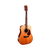 Guitarra Acustica Cort Earth 70 Open Pore + Funda + Envio - comprar online