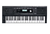 Teclado Kurzweil Kp100 5 Octavas Sensitivo Polifonia - 128 Voces - 633 - 220 Ritmos