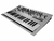 Sintetizador Analogico Korg Minilogue Polifonico 37 Teclas en internet