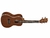 Ukelele Kala Concierto Tapa y Fondo Caoba Satin - El Angar