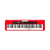 Teclado Casio CTS200 61 Teclas en internet