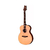 Guitarra Electro Acústica Prs SeTx20e Con Fishman + Estuche Rigido - comprar online