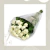 Ramo de rosas - comprar online