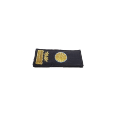 Pectorales Bordados de Policía - tienda online