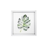 Cuadro Monstera - comprar online