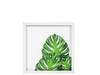 Cuadro Monstera