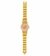 Reloj Swatch Skin Schupe Sfe104g - comprar online