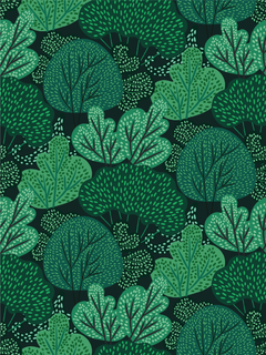 #252