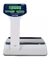 Balanza Systel Croma 31 kg - comprar online