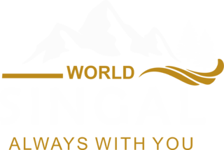 Singal World