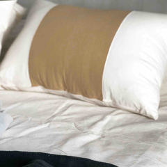 Almohadones de Tussor Crudo con Franja - Claraboia