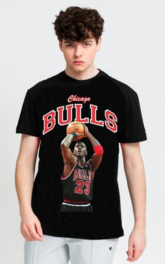 BULLS en internet