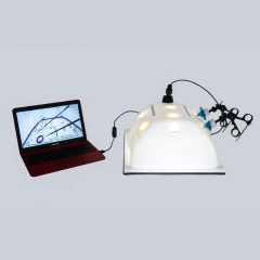 LapBodySim Simulador de Laparoscopía
