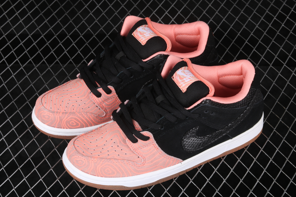 nike sb dunk fish ladder