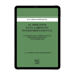 E-BOOK - EL MERCOSUR EN EL LABERINTO INTERGUBERNAMENTAL. La influencia de la soberanía en los procesos de integración latinoamericanos. Autor: Juan Adriano Spedaletti. AÑO: Enero 2021.| Primera Edición. Editorial: ASC Libros Jurídicos