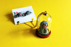 Domo mascota personalizado - Gafasorios