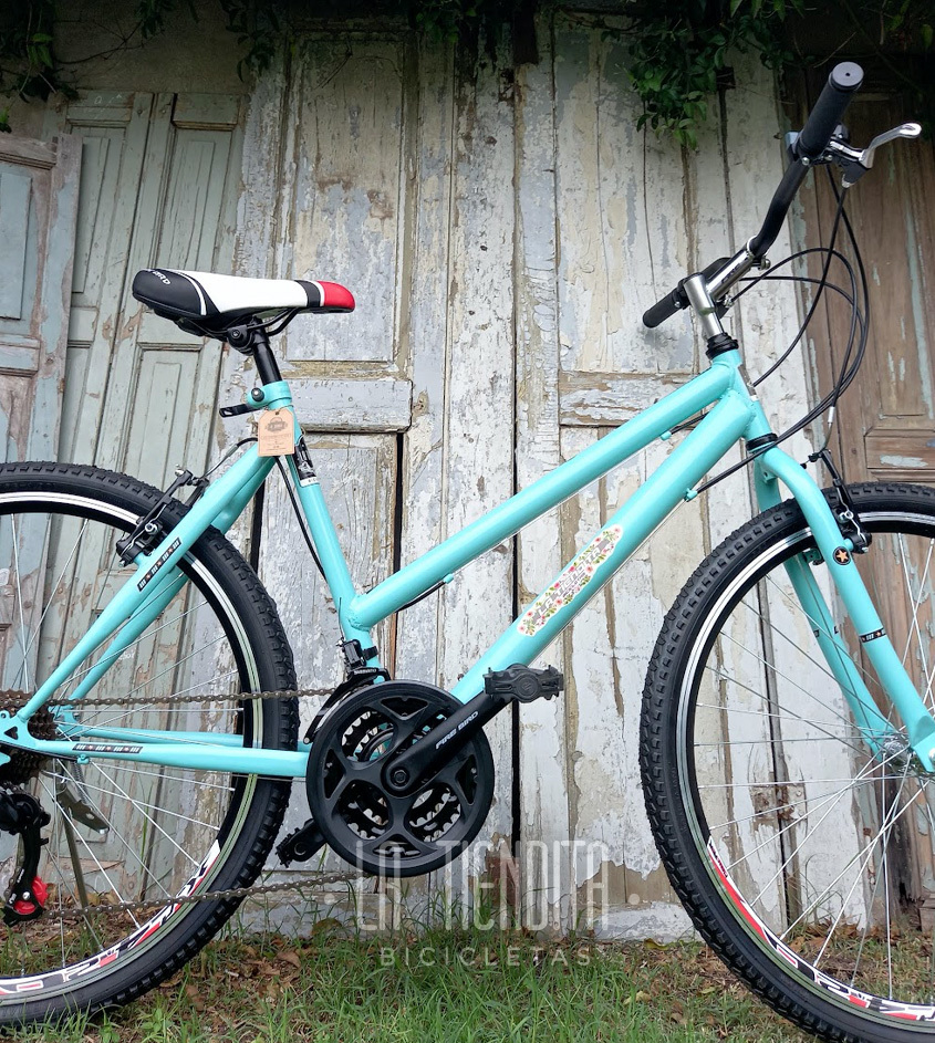 MTB PRO DAMA I ROD26 I 18 VELOCIDADES PRO