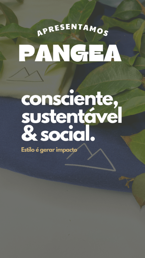 Carrusel Pangea Co.