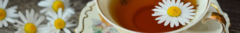 Banner de la categoría Infusiones y hierbas naturales