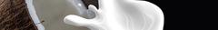 Banner de la categoría Sin LACTOSA