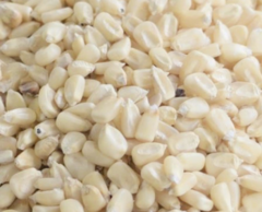 Maíz blanco x 500 gr