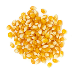 Maíz piscingallo x 500 gr