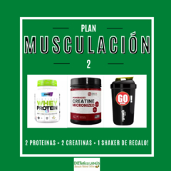 Plan musculación II