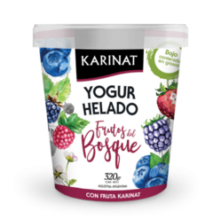 Yogurt helado sabor frutos del bosque Karinat x 320 gr
