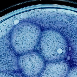 Ativo de ingrediente peptídico Bio-Blue