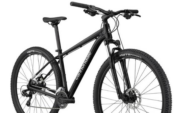 cannondale trail 8 in stock