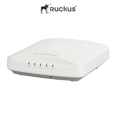 Punto de acceso Ruckus R350