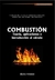 Combustión. Introducción a la teoría y cálculo