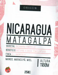 CAFÉ NICARAGUA N155