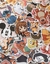 Set x5 STICKERS SURTIDOS