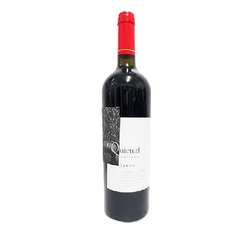 quietud syrah - vino pampeano