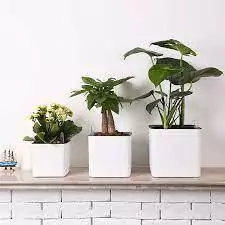 MACETA CUBO BLANCA N°40 - comprar online