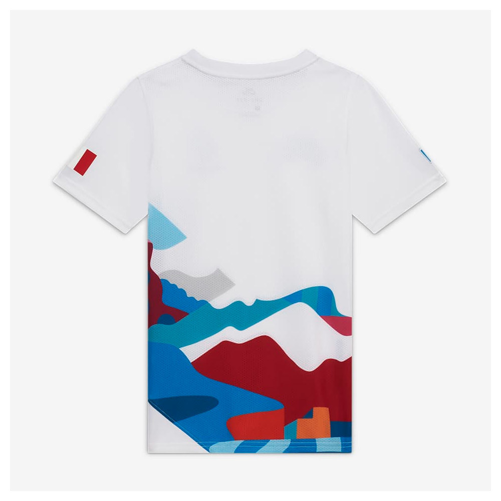 camiseta nike sb parra