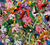 LIBERTAD Violet - tienda online