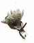 Ramo de flores secas Mini "Vita Style" en internet