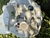 Individuales Charo Pack x 6 - comprar online