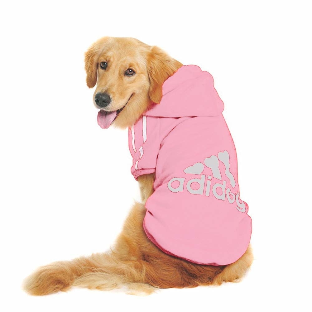 Roupas cachorro online Clearance