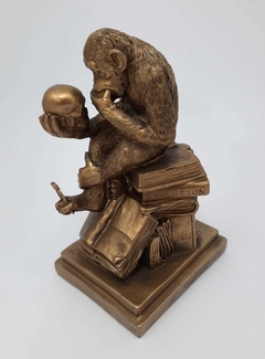Imagem do Estatua macaco pensador resina -BazarSP