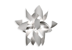 MANDALA en internet